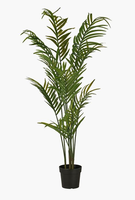 ikea palm