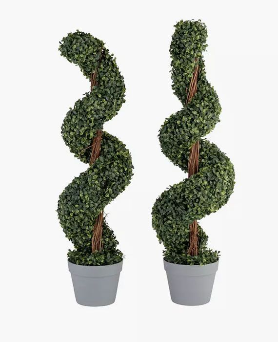 spiral tree