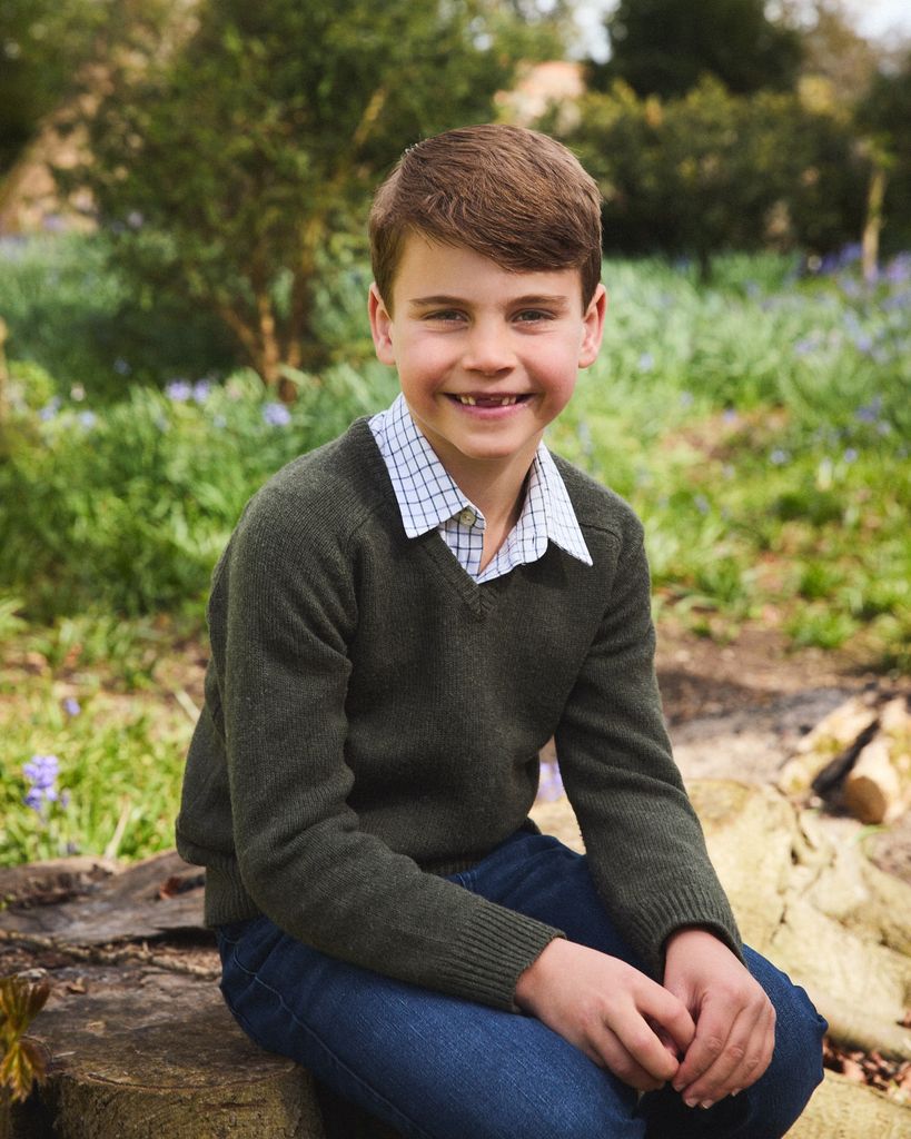 Prince Louis posing for 7th birthday portrait 